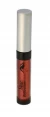 ISABELLE DUPONT LIP STAR GLOSS REFLECTION  LG407 World Shop