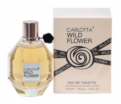 CARLOTTA PERFUME FEMENINO WILD FLOWER 100ML  83410 World Shop