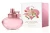 SHAKIRA PERFUME EAU FLORALE 80ML World Shop